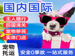 南昌空运代理国际宠物托运 【国